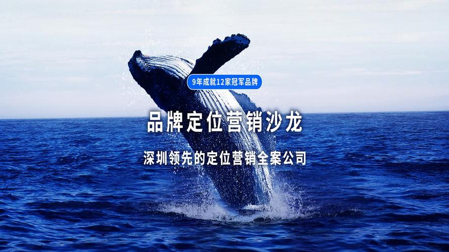 打造企业核心竞争力的品牌定位策略